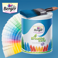 Berger Colour